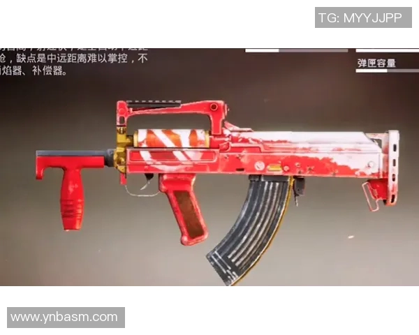 刘强揭秘和平精英成功背后的战略与创新思维